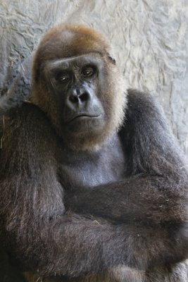 IMG_6967.jpg