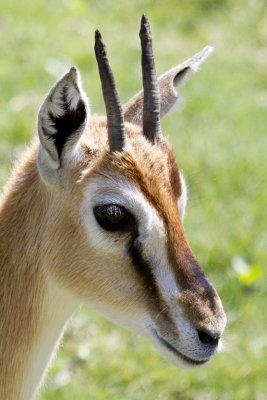 IMG_9298.jpg