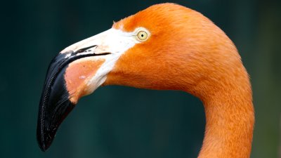 IMG_0734.jpg