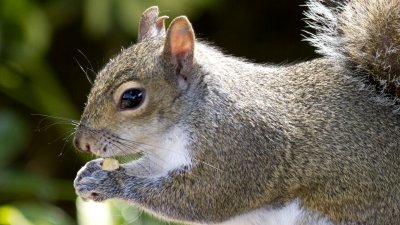 IMG_0808.jpg