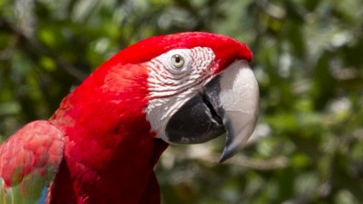 IMG_1118.jpg