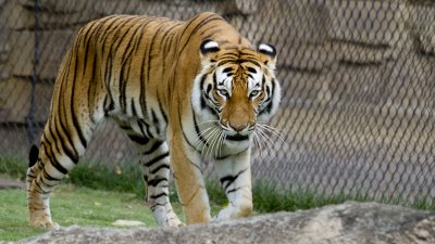 IMG_1543.jpg