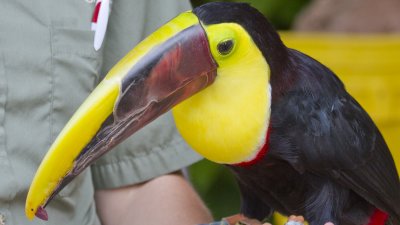 IMG_1546.jpg