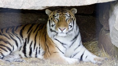 IMG_2605.jpg