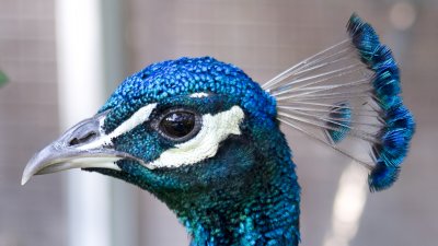 IMG_2637.jpg