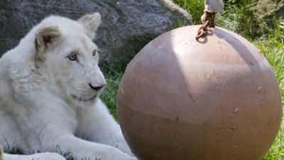 IMG_2837.jpg