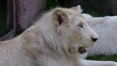 IMG_2850.jpg