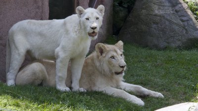 IMG_2876.jpg