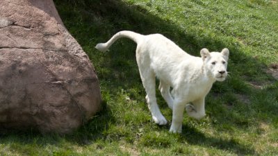 IMG_2918.jpg