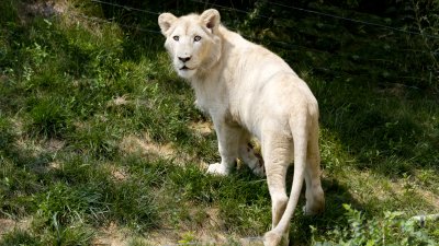 IMG_2936.jpg