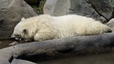 IMG_3027.jpg