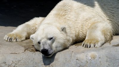 IMG_3048.jpg