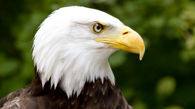 IMG_3068.jpg