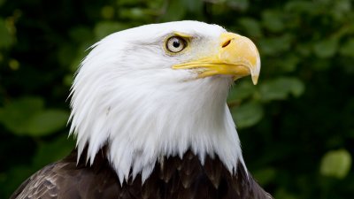 IMG_3099.jpg