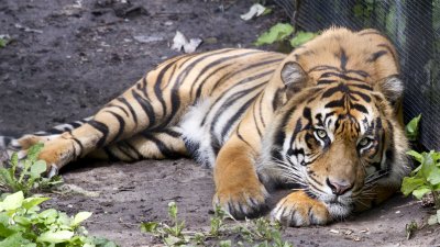 IMG_3284a.jpg