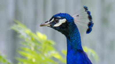 IMG_3360.jpg