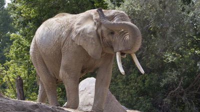 IMG_3549.jpg