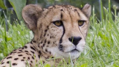 IMG_3604.jpg
