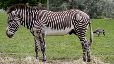 IMG_3632.jpg
