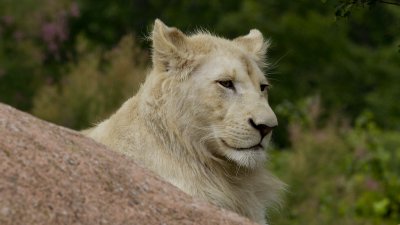 IMG_3643.jpg