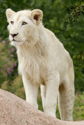 IMG_3652.jpg