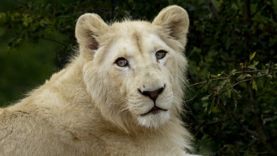 IMG_3676.jpg