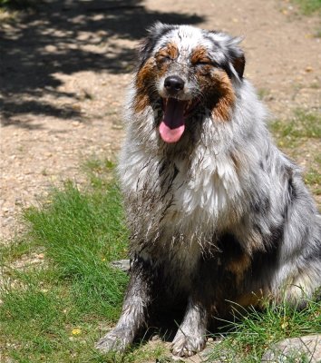 That Mud Puddle Was So Much Fun!