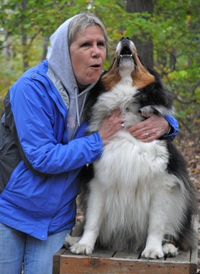 Teaching Fenway To Sing