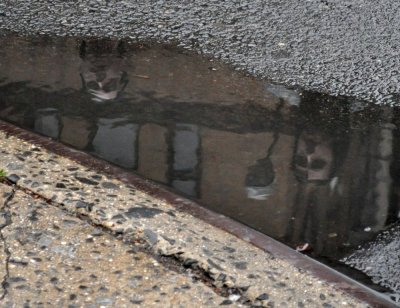 Faces in Puddles