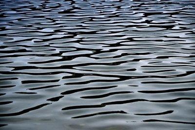 Lines in the Water