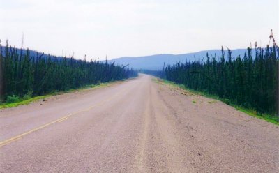 The Klondike Highway