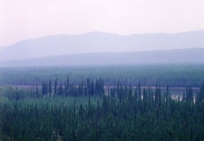 View of the Yukon River from the Klondike Highway