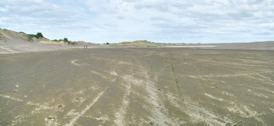Port Waikato sand dunes