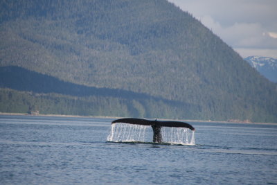 alaska