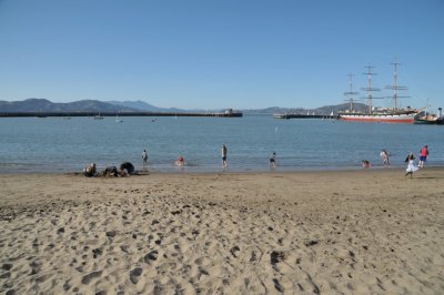 Marina Basin