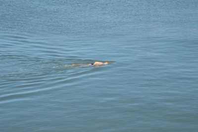 Cold Water Swim