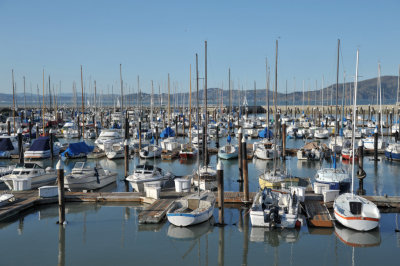 Marina Boats