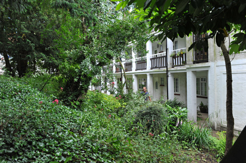 TreeSurgery280612_ 77.jpg