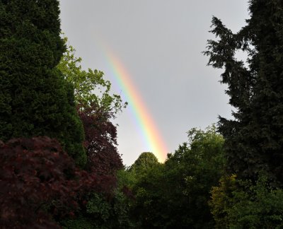 Rainbow10.jpg