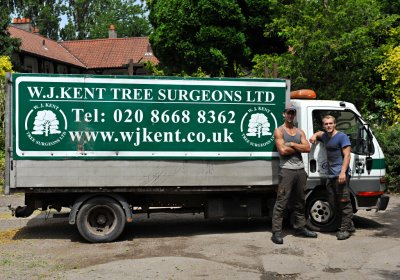 TreeSurgery280612_ 02.jpg