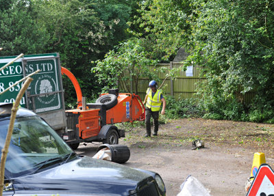 TreeSurgery280612_ 05.jpg