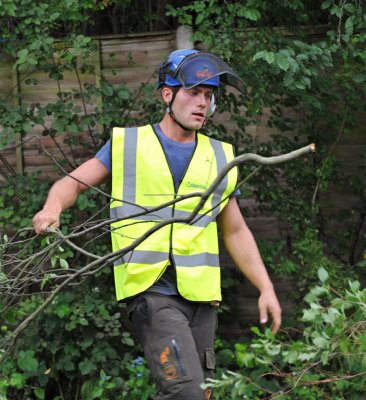 TreeSurgery280612_ 23.jpg