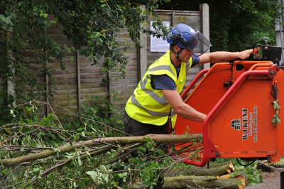 TreeSurgery280612_ 29.jpg