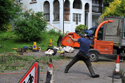 TreeSurgery280612_ 49.jpg