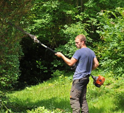 TreeSurgery280612_ 63.jpg