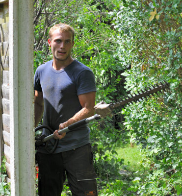 TreeSurgery280612_ 67.jpg