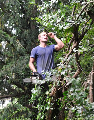 TreeSurgery280612_ 70.jpg