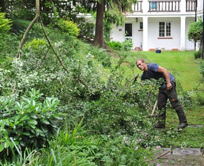 TreeSurgery280612_ 78.jpg