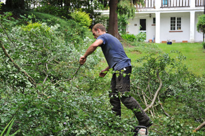 TreeSurgery280612_ 79.jpg
