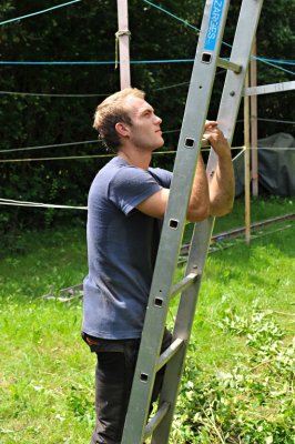 TreeSurgery280612_ 86.jpg